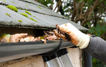 gutter cleaning Catherston Leweston, Dorset