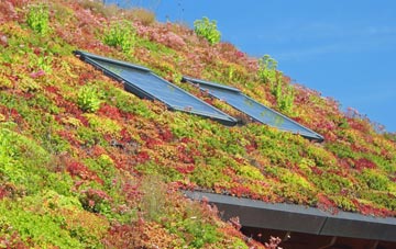 Catherston Leweston living roof systems