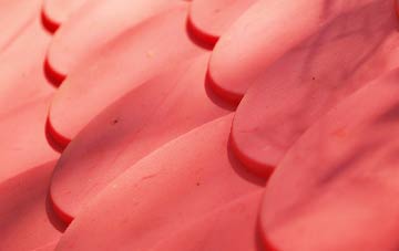 Catherston Leweston plastic roof costs