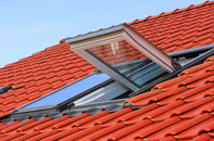 Catherston Leweston roof window
